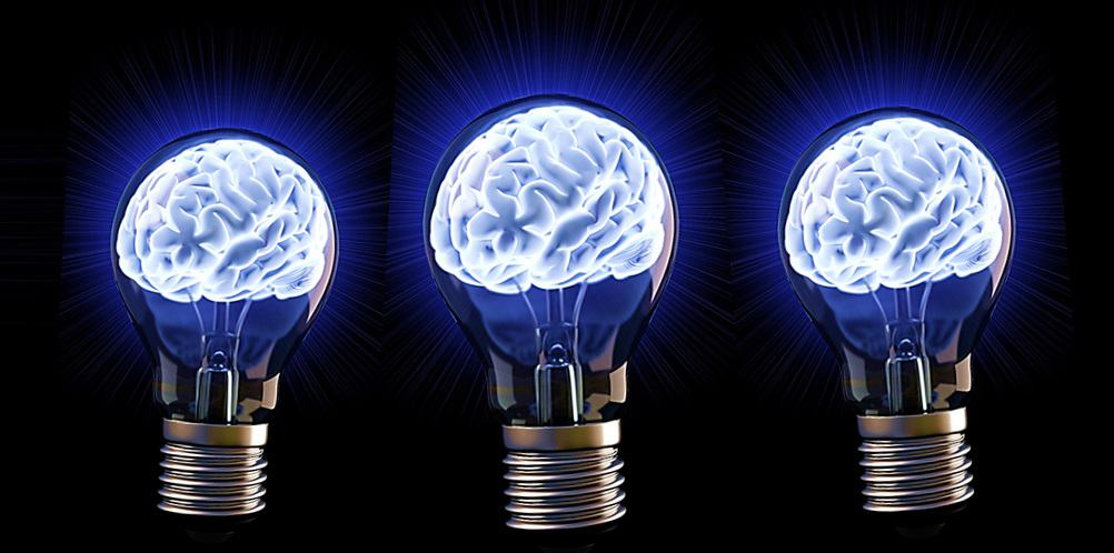 Brains Lightbulbs 