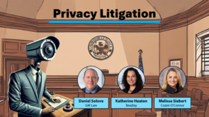 Video: Privacy Litigation