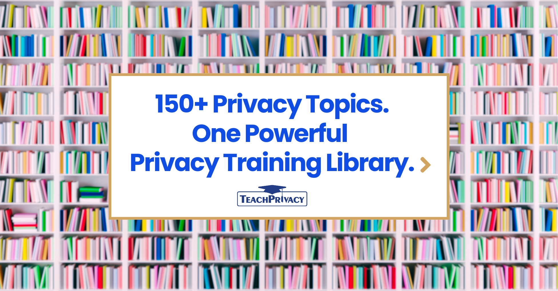 Privacy Training